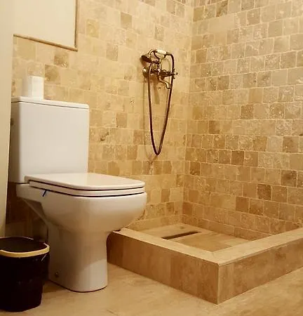 בית הארחה House Ania Năvodari